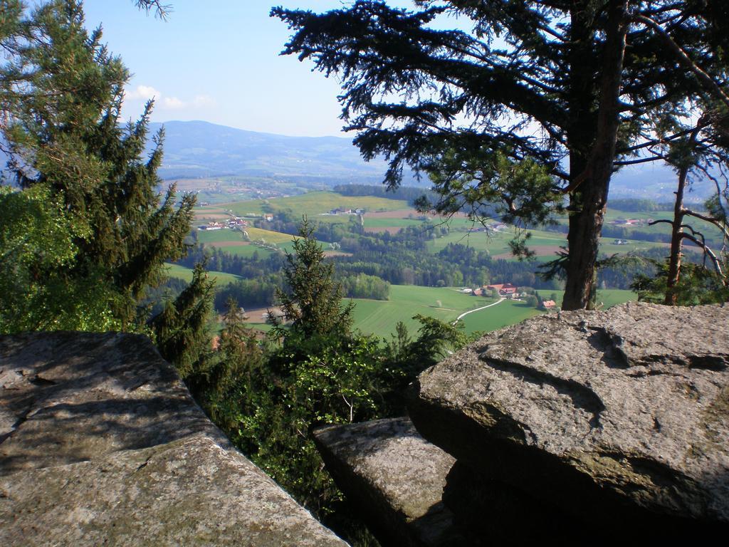 Wiesenbauer - Schlogl Anton Villa Grafendorf bei Hartberg Exterior photo
